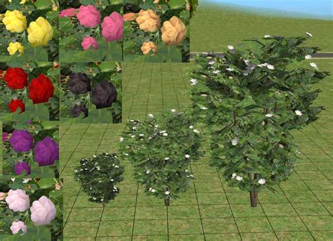 Mod The Sims Hibiscus Tree As Rose Bush
