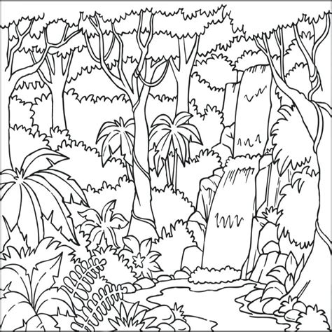 Simple Tropical Rainforest Coloring Page Coloring Pages