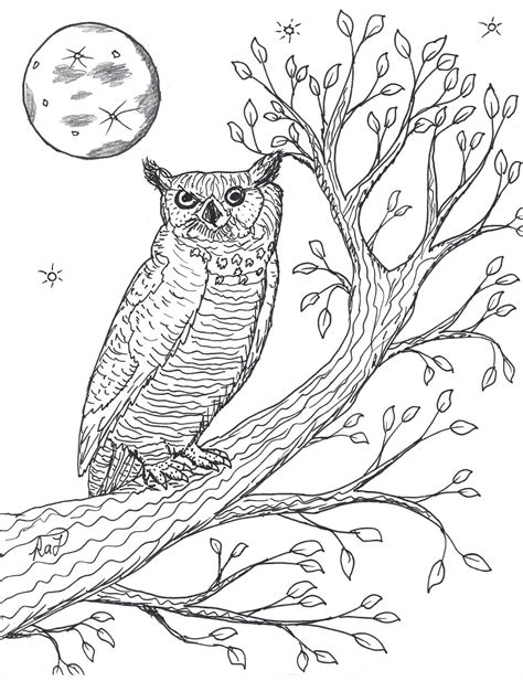 Robins Great Coloring Pages Great Horned Owl