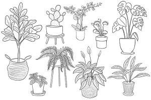 150 Desenhos De Plantas Para Imprimir E Colorir Pintar