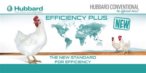 Hubbard Homepage