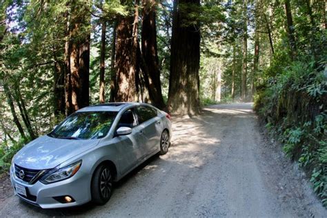 The 10 Mile Scenic Drive In Northern California You Will Want To Take