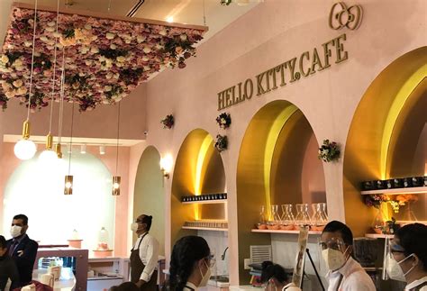 Descobrir 83+ imagem cafeteria kitty