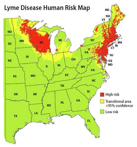 Map Reveals Lyme Disease Risk Areas