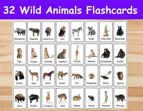 32 Wild Animals Flashcards Image Cards For Kids Nomenclature Cards