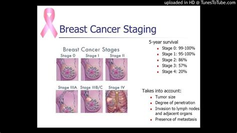 Stage Iv Metaplastic Breast Cancer In Which Primary Tumor Was Removed After Treatment With Anti