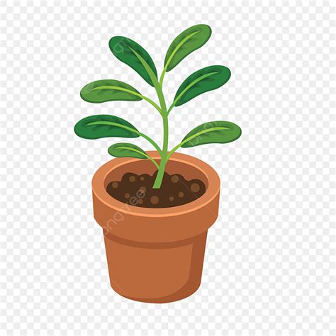 Hand Drawn Plant Vector Png Images Cartoon Hand Drawn Plant Vector