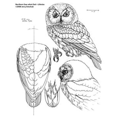 Inspirational designs, illustrations, and graphic elements from the world's best designers. Wood carving pattern of a Owl detail. https://www.facebook.com/Bill.Sculptures.tronconneuse ...