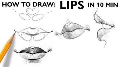 How To Draw Lips Basic Steps