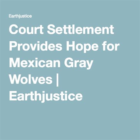 Court Settlement Provides Hope For Mexican Gray Wolves Mexican Gray