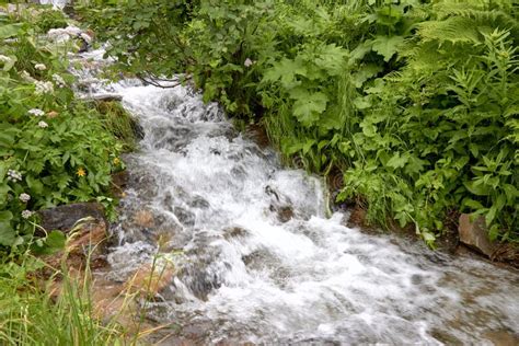 Waterfall And Clear River In A Mountain Stream In A Green Rocky Forest