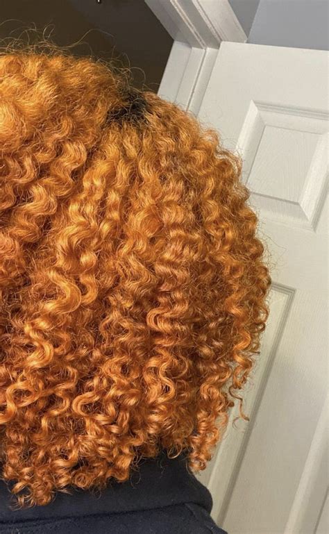 Pin By Taylor Xó On Hairtylesgoal Ginger Hair Color Black Girl Hair Colors Dyed Natural Hair