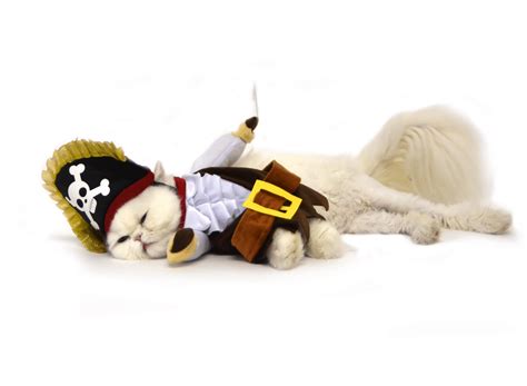 Walking Pirate Cat Costume Pet Costume Center