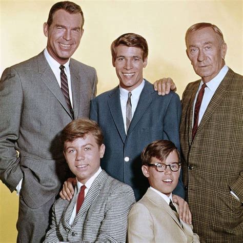 My Three Sons Later Cast My Three Sons Don Grady 1960s Tv Shows
