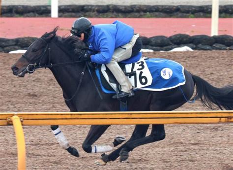 【金鯱賞】ディープモンスターがパワフルな走り 池江調教師「操作性がよくなった」 競馬ニュース