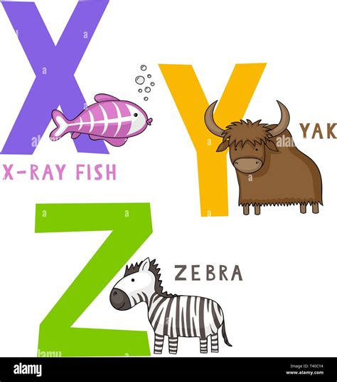 English Animal Alphabet X Y And Z Letters With Cute Cartoon X Ray Fish