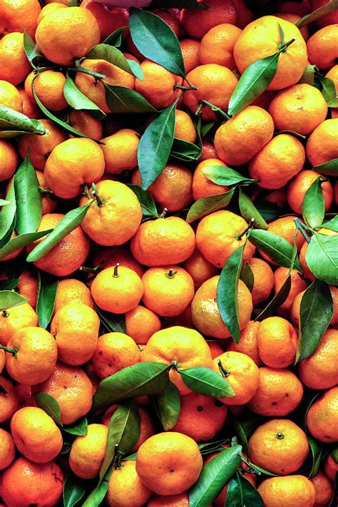 Sweet Oranges Photograph By Gabriel Perez Fine Art America