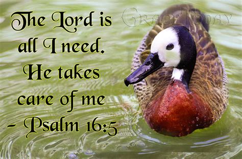 Psalm 165 Psalm 165 The Lord Is All I Need He Takes Car Flickr