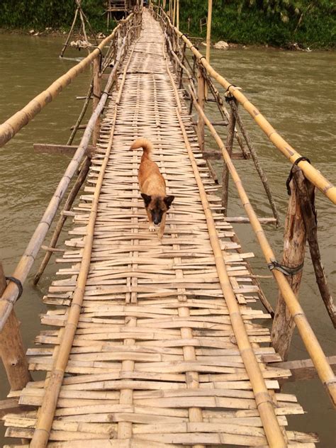 A Bamboo Bridge
