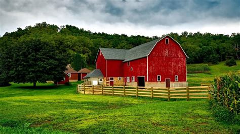 How To Keep Your Barn Cool During The Summer Country Cabins