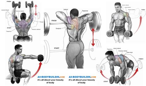 Top 5 Shoulder Workouts For Mass ~ Multiple Fitness