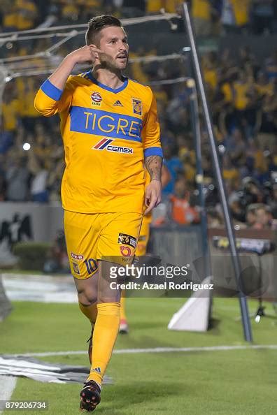 andre pierre gignac of tigres celebrates after scoring his team s news photo getty images