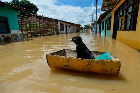 Cali (oficialmente, santiago de cali) es la capital del departamento de valle del cauca en. Scenes of flooding in Cali after 'freak wet weather' hits Colombia