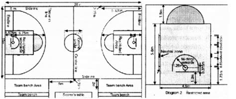 Draw A Neat Labelled Diagram Of Basketball Court With Its Dimensions