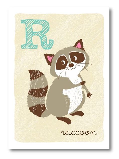 Pin On Raccoons Rule