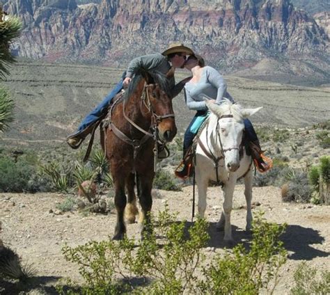 Top Of The Mountain Picture Of Cowboy Trail Rides Inc Las Vegas
