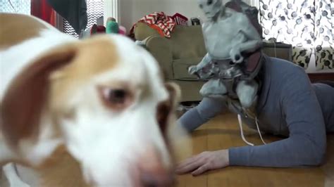 Dog Vs Alien Mind Controlled Owner Prank Funny Dog Maymo