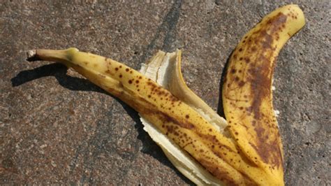 How Did Slipping on a Banana Peel Become a Comedy Staple? | Mental Floss