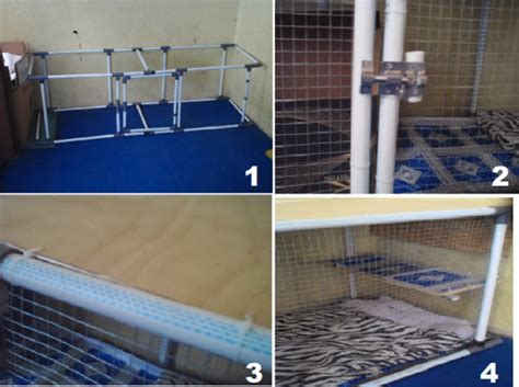 Maybe you would like to learn more about one of these? Cara Membuat Kandang Kucing Dari Pipa Pvc - Home Desaign