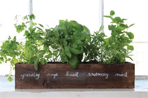 The Best Indoor Herb Garden Ideas For Your Home And Apartment No 12