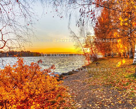 Beautiful Autumn Scene Fall Lake Trees New