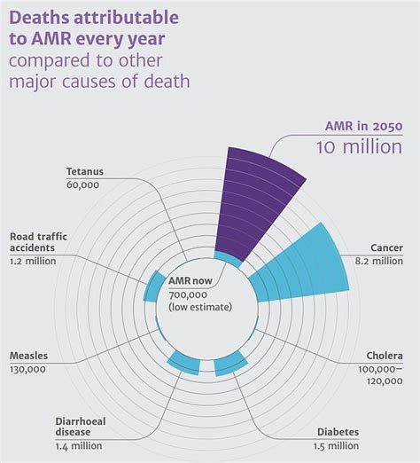 Antibiotic Resistance Could Kill More People Than Cancer In 2050 Express Digest
