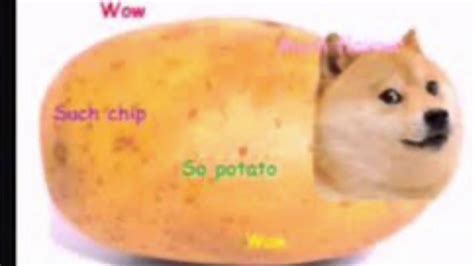 Doge Is A Potato Youtube