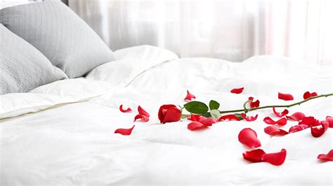How To Place Rose Petals On A Bed Our Deer