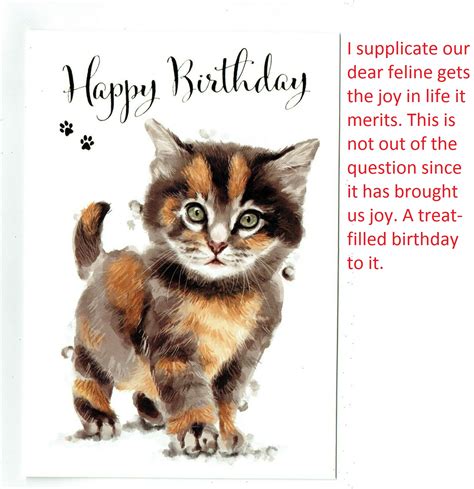 Happy Birthday Cats Pic And Images With S And Ts Plus Quotes