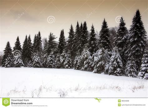 Scenic Winter Landscape Stock Photo Image Of Outdoor