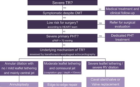 Frontiers Mitral And Tricuspid Transcatheter Interventions Current