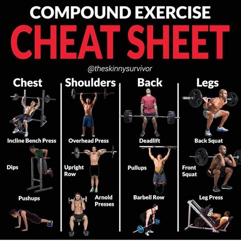 Compound And Isolation Exercise Cheat Sheet Weight Training Workouts