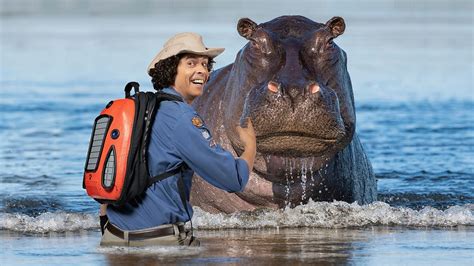 Bbc Iplayer Andys Wild Adventures Series 2 18 Hippos