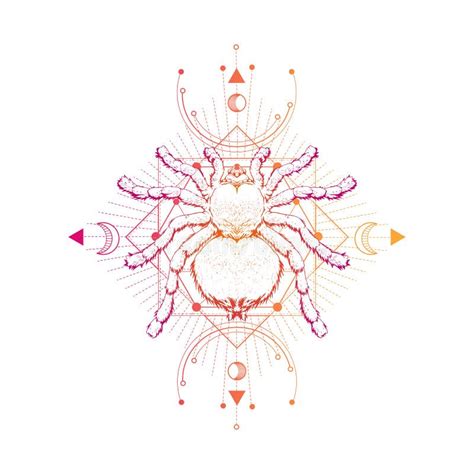 Vector Illustration With Hand Drawn Spider And Sacred Geometric Symbol