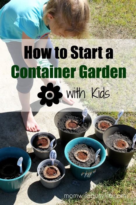 How To Start A Container Garden With Kids Mom Wife Busy Life