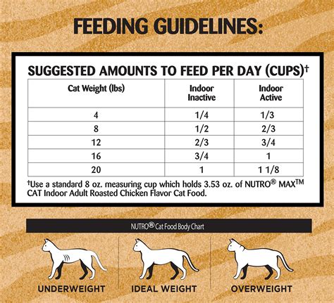 Cat Feeding Guide Dry Food Yoiki Guide