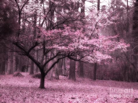 Surreal Fantasy Pink Trees Nature Landscape Photograph By