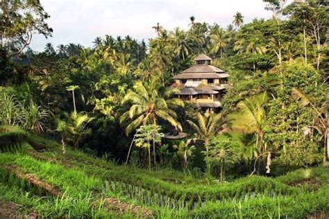 Rainforest Villas Bali Ministry Of Villas