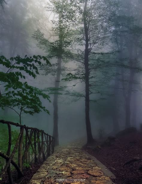 A Path In The Dark Misty Forest A Path In The Dark Misty Forest