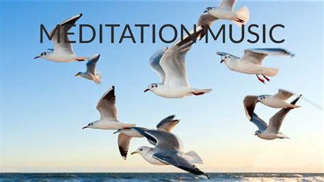 Relaxing Music With Birds Singing Beautiful Piano Music By Soothing Relaxation Youtube